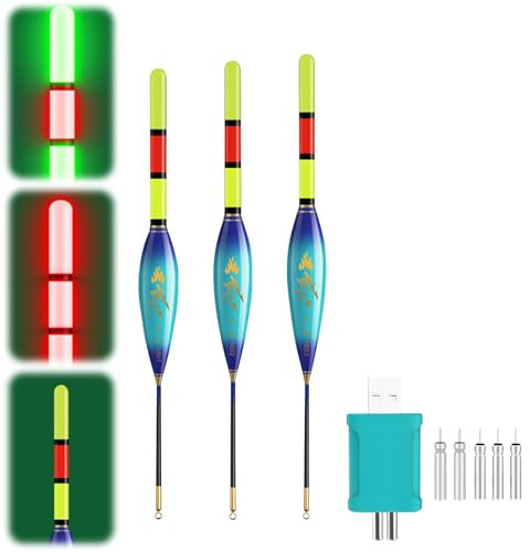 Hekasvm LED Posen Angeln Set 4g/6g/8g Kann die Farbe ändern, wenn der Fisch den Haken beißt, Angelzubehör Fishing Posen mit Batterie Ladegerät und Stabbatterie Typ CR425 (4g/5g/6g-B)