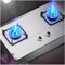 Acier Inoxydable Gaziniere Gaz, Plaque De Cuisson À Gaz 5,0 KW 2 Brûleurs, Cuisinières À Gaz De Table Et Encastrées, Protection Contre Les Flammes pour Éviter Les Fuites(LPG)