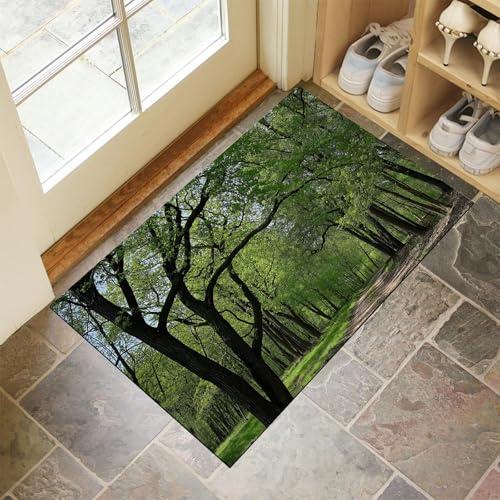 CEDNXOER Schmutzfangmatte Innen, Grün Waschbarer Fussmatte, Wald Blätter Natur Pflanzen Teppiche, Niedriger Flor, rutschfest, Weiche, Eingangstürmatte für Flur Eingangsbereich Küche, 60x90 cm