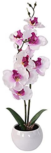 Murago - Künstliche Orchidee im Keramik Topf ca.39cm - Kunstblumen Kunstpflanzen Orchideen Innendekoration Muttertag Weiß