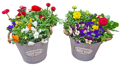 Fachhandel Plus Pflanztopf Zinktopf Jute-Griffe Blumentöpfe Gartendeko Indoor Outdoor 2 Stück