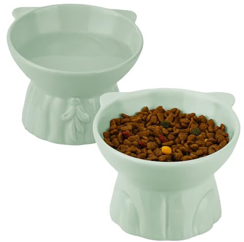 Ceramic Raised Cat Bowls 2 Extra Wide Raised Cat Bowls for Food and Water, Shallow Cat Food Dish, Mustache Friendly, Anti-Vomiting Bowls, Microwave Safe