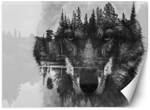 KunstLoft 'Wolf Dreams' Tapete Mediterran Moderne Fototapete für Wohnzimmer, Büro, Schlafzimmer 300x210 cm