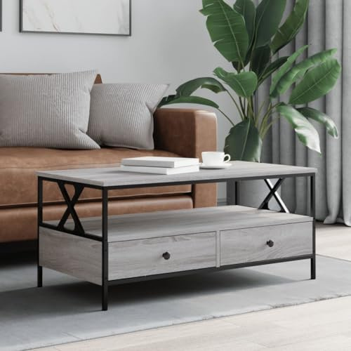 Frdhee Wohnzimmer Tisch Für Couch, Couchtisch Grau 100x51x45 cm Holzwerkstoff für Wohnzimmer, Schlafzimmer, Arbeitszimmer