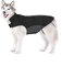 Bwiv Hundemantel Wasserdicht Winter mit Leine Loch Hundejacke Bauch Schützen Haustier Weste Jacke Klettverschluss Leicht Regenmantel Hunde Wintermantel für Mittlere Große Hunde (4XL, Schwarz)