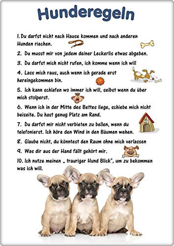 Blechschild/Warnschild/Türschild - Aluminium - 15x20cm - - Hunderegeln - Motiv: Französische Bulldogge - 07