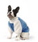 NAMSAN Hundepullover für Kleine Hunde Winter Hundepullover mit Taschendesign Warm Fleece Hundepulli für Kleine Hunde/Welpe-Blau, L
