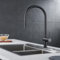IMEX - Grifo de Cocina Extraible | Grifo Monomando Fregadero con Difusor | Griferia de Cocina con Mangera Flexible 360º | Serie Berna | Color Negro Mate