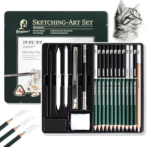 Hainue Skizzen Zeichen Bleistifte Set,19 Stück Zeichenstifte Professionell Set mit Kohlestiften,Mischwerkzeuge,Radiergummis Und Zubehör,Bleistiftset für Künstler, Erwachsene,Teenager