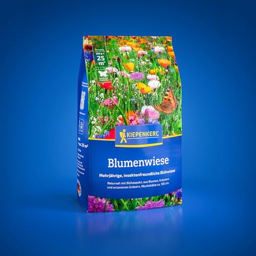 Kiepenkerl Blumenwiese 1085310, Rasensaat | Kräutern und extensiven Gräsern, Blumensamen Mischung, mehrjährig