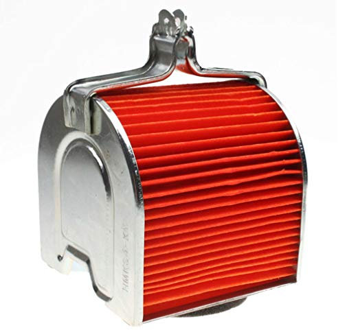 GOOFIT Filtro aria sostituzione per CF250cc ATV raffreddato ad acqua Go Kart Moped & Scooter