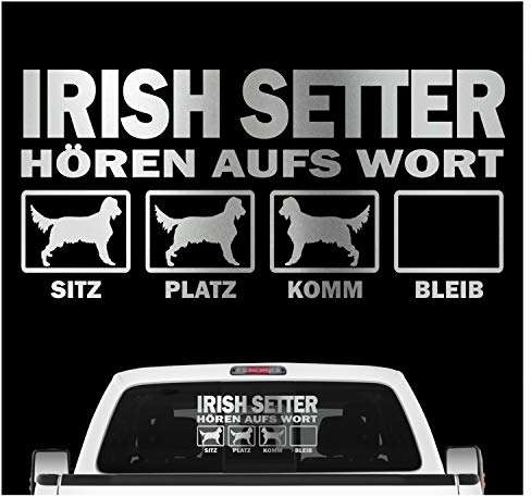 siviwonder Irish Setter Red Irischer Setter hört aufs Wort Hunde Auto Aufkleber Autoaufkleber Hund Folie Farbe Silber Metallic, Größe 60cm