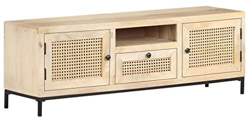 vidaXL Mangoholz Massiv TV Schrank Lowboard TV Möbel Tisch Sideboard Fernsehtisch Fernsehschrank HiFi-Schrank 120x30x40cm Rohrgeflecht