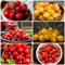 100 Pcs Kirschbaum Samen - Bonsai Baum, Balkonpflanzen Winterhart Kirschsamen - Prunus - Seltene Pflanzen Pflanzen Samen Indoor Pflanzen Anzucht, Grünpflanzen Zimmerpflanzen Zimmerpflanzen
