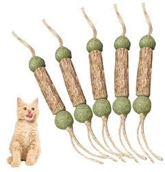 Palitos de Hierba gatera - Cojín para Gatos con Cuidado Dental - Juguete para Gatos con Hierba gatera Natural (Bolas de Menta, Pieza, 5)
