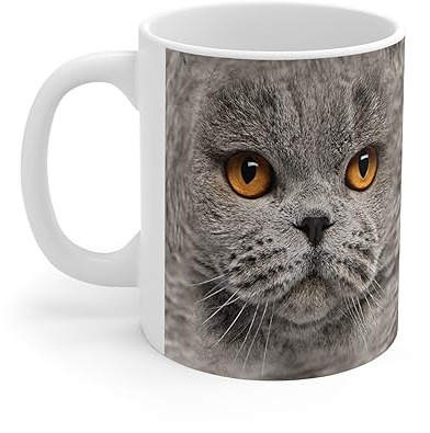PIBONTO Funny Gifts Gray British Shorthair Cat Big Face Coffee Mug White Ceramic Cup 11oz