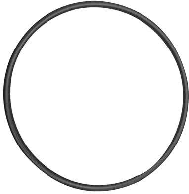 O-Ring 151122 für Wasserfilter