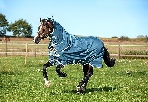 AMIGO Bravo 12 Plus Turnout 100g