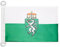 AZ FLAG Bootflagge Steiermark 45X30Cm - Steiermark Bootsfahne 30 x 45 Cm Marine Flaggen