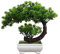 AIBAOBAO Bonsai Artificiel, Bonsai Artificiel Realiste,25x22 cm Banzai Artificielles, Fausse Plante Bonsai, Bonsai Plante Artificielle, Interieur Exterieur Decoration pour Maison, Chambre Bureau