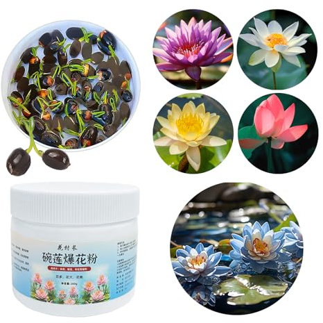 100pcs Semillas de Loto de Agua, shallyong Semillas Flor de Loto, Lotus de Colores, con Fertilizante Plantas, para Cultivo En Estanques de Jardín Interior Exterior
