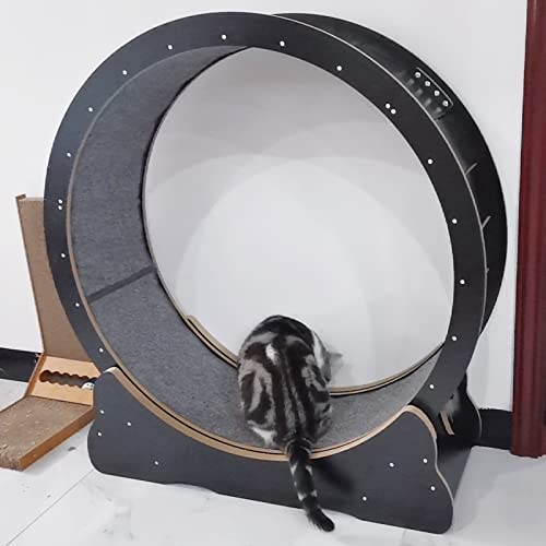 Katzenlaufrad Schwarzes Katzenübungsrad Klein Mittel Groß - Kleine Lücke Leises Katzenlaufbandrad/Katzenlaufrad/Katzenkratzbrett, Katzenspielzeug für den Innenbereich (Größe: S-Innendurchmes