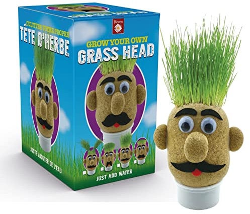 Funtime Gifts Grasshead Nouveauté Grow Your Own Grass Head, Vert