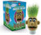 Funtime Gifts Grasshead Nouveauté Grow Your Own Grass Head, Vert
