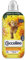 Coccolino Ammorbidente Concentrato Raggio di Sole, Ammorbidente Lavatrice con Tecnologia Stay Fresh, Profumazione all'Arancia, Gelsomino e Ambra, Formato Fino a 42 Lavaggi, 980 ml