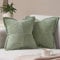 Topfinel Kissenbezug 30x30 grün 2er Set Kordsamt Frühling Kissenbezüge Kissenhülle Dekorative Kissenbezug Sofakissen Couchkissen Dekokissen Deko Kissen für Sofa Wohnzimmer Schlafzimmer