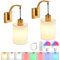 JHYPVII 2er Set Akku Wandleuchte Innen Gold mit Fernbedienung, Ohne Stromanschluss, RGB Dimmbare Wandleuchten Kabellos 12 Farben & 3 Farbtemperaturen, Batterie Aufladbare Wandlampe mit Stoffschirm