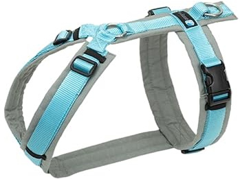 Anny-X Brustgeschirr Fun Grau-Eisblau | Hundegeschirr Größe M-Kurz (Brustumfang 62-74 cm)