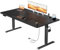 HLONONE Höhenverstellbarer Schreibtisch 160×80cm mit USB-Ladeanschluss und Steckdose, Elektrischer Schreibtisch, Verstellbarer Computertisch mit 3-Funktions-Memory, Schwarz