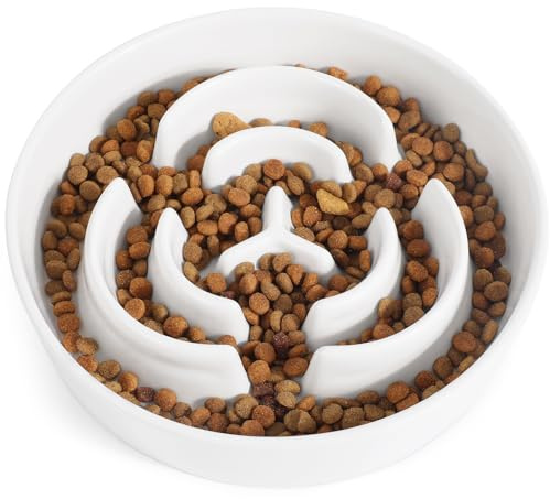 PETTOM Ceramic Slow Feeder Dog Bowl, Anti-Choking Puzzle Maze Dog Bowl Slow Feeder to Slow Down Eating for Small Dogs & Cats (White, Diameter- 15.5cm)