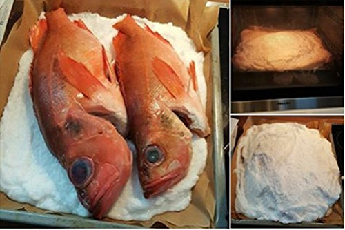 Biova 2X Gourmet Salz Grill Steine,20x10x2,5 Original Himalaya Salz Pakistan