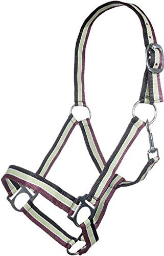 HKM Genf Tack Halters black/Green/Red Warmblut