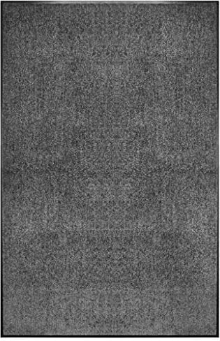 vidaXL Fußmatte Waschbar Schmutzfangmatte Türmatte Fußabtreter Schmutzmatte Schmutzfangläufer Sauberlaufmatte Innen Außen Anthrazit 120x180cm