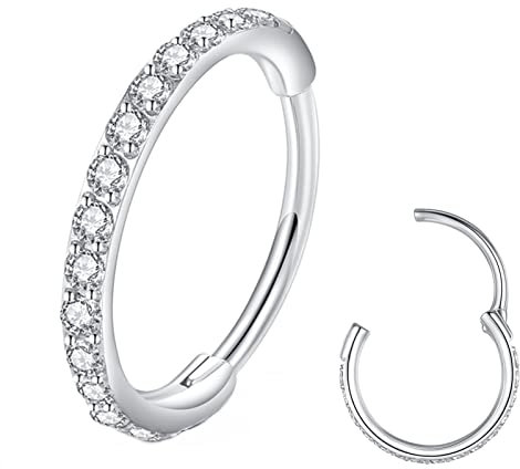 BLESSMYLOVE Clear CZ Silver 20G 8mm Nose Rings Hoop 316L Surgical Steel 20 gauge Cartilage Earrings Daith Helix Rook Body Piercing Jewelry Stainless Steel Hinged Segment Rings Lip Rings