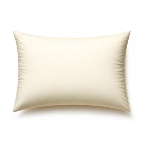 Hospital Grade Wipe Clean Pillow | Hollow Fibre Support | Water Resistant Care Pillow for Home, Nursing & Medical Use | Available in 16x26 & 19x29 | Single, 2 Pack or 4 Pack (19cm × 29cm, 1, count)