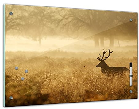 Bilderdepot24 Memoboard 60 x 40 cm | Tiere | Hirsch in der Natur | abwaschbare Glas-Magnettafel mit Halterung Magneten Stift 1318