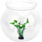 Kugelaquarium Bruchsicherer Kunststoff Fischschale,Aquarium Kugelaquarium Kunststoff Fischschale,Mini-Fischbehälterschale für Tischplatte+1× Künstliche Wasserpflanzen