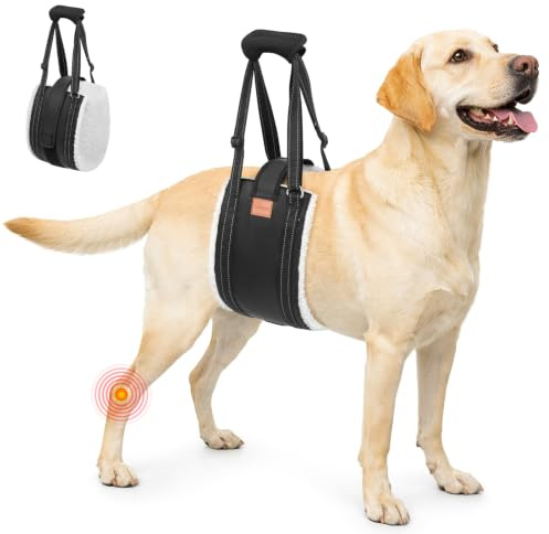 LOOBANI Hunde Tragehilfe mit Klettverschluss, verstellbare Gehhilfe für Hunde, weicher Hundetragegurt für behinderte, verletzte oder ältere Vierbeiner und zur postoperativen Rehabilitation