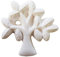 30 GESSETTI BIANCHI DECORATIVI PER BOMBONIERA + BIGLIETTINI (ALBERO 1090363)