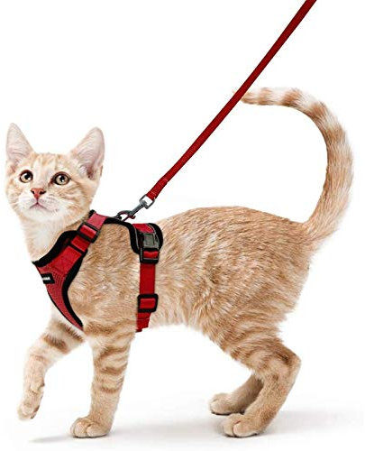 rabbitgoo Katzengeschirr mit Leine rotes Weichgeschirr für Katzenbrustgeschirre ausbruchsichere verstellbare Katzenweste, rot, XS