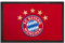 FC Bayern München Fußmatte I Fußabstreifer I Schmutzfangmatte I Logo I Rot
