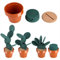 Lot De 6 sous-Verres De Cactus, sous-Verres Amusants à Faire Soi-même, sous-Verres Fantaisie, Cadeaux De Cactus, sous-Verres avec Support pour Pot De Fleurs, pour Boissons, Bureau, Maison, Bar