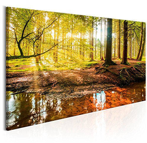 B&D XXL - Akustikbild Wald 80x40 cm Bilder Akustikschaum Hochleistungsschallabsorber Schallschutz Leinwand 1 tlg Wandbild Raumakustik Schalldämmung - Baum Natur c-B-0174-b-a