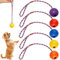 5 Stück Wurfball Hund Hundespielzeug: Hundebälle mit Seil, High Bounce Ball spielzeug für hunde, Naturkautschuk Ball Hundespielzeug Klein Vollgummiball Wurfball Hund für Kleine & mittel & Große Hunde