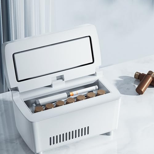 ILOOXI Estuche De Viaje Caja Enfriadora De Insulina, Refrigerador De Insulina para Viaje, Portátil Mini Nevera De Viaje para Insulina Médica, 0-18 ℃, con Cargador USB (Color : Plug in)