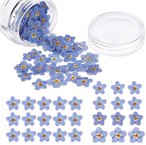 Nuanchu 100 Stück Natürliche Getrocknete Vergissmeinnicht Blumen Trockenblumen Echte Getrocknete Gepresste Blumen für Schmuck Kerzen Karten Herstellung DIY Harz Ornamente Nagel Kunst Deko